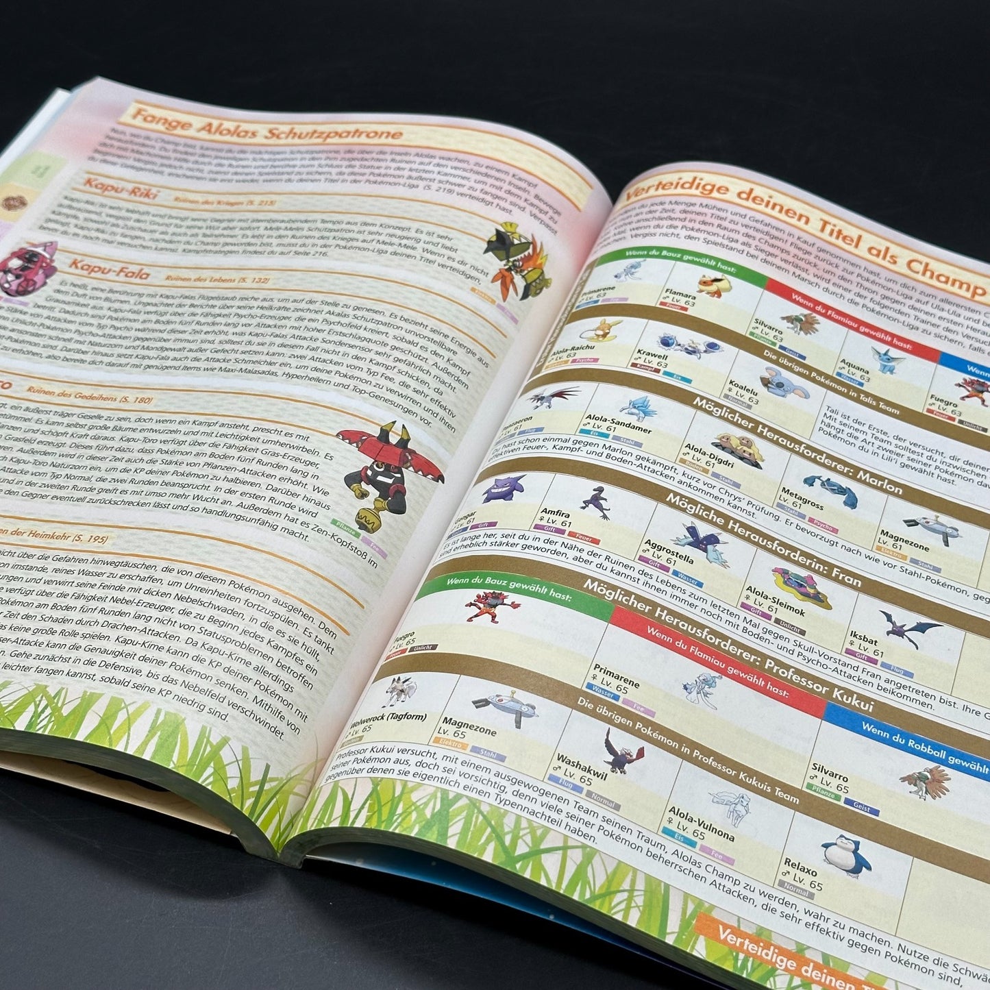 Pokémon Sonne Mond - Lösungsbuch, Spieleberater, Guide - Poster