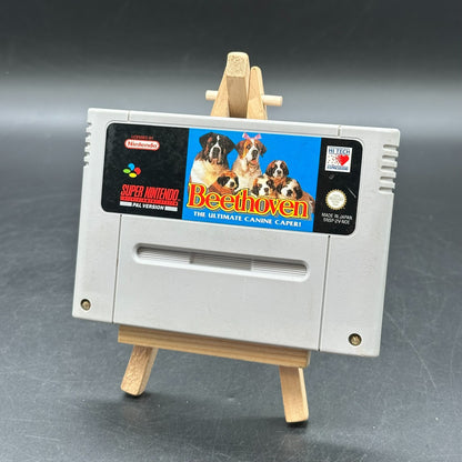Beethoven: The Ultimate Canine Caper (Super Nintendo, SNES)
