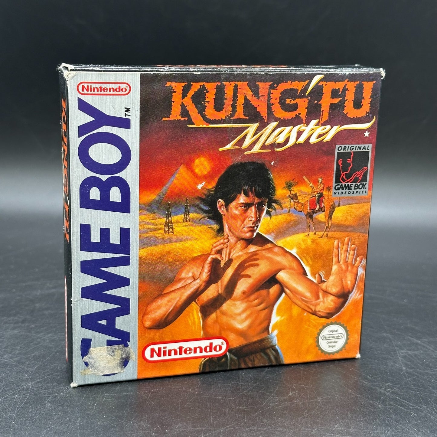 Kung Fu Master in OVP (Nintendo Game Boy)