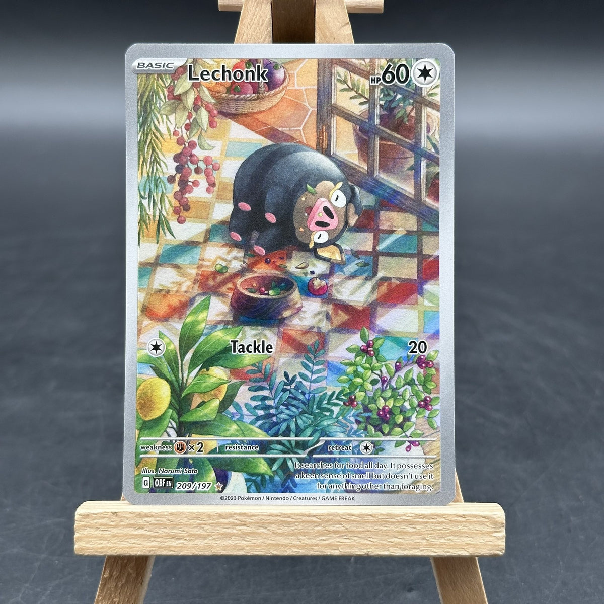 Lechonk - Obsidian Flames - OBF 209 (Pokémon TCG, Englisch, Near Mint)