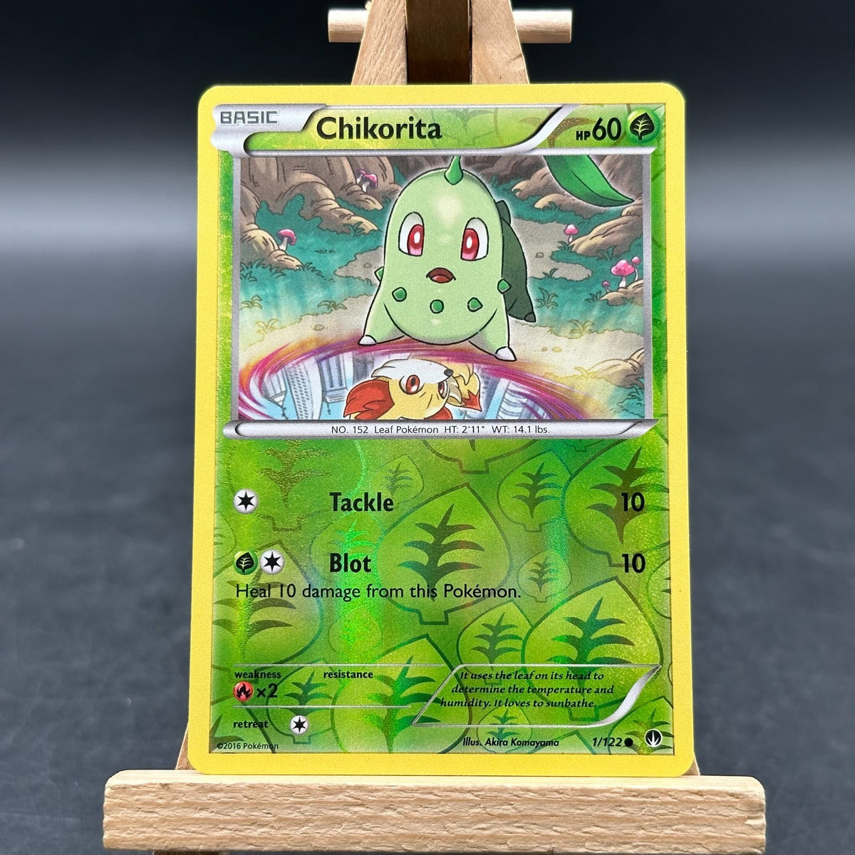 Chikorita - BREAKpoint - BKP 1 (Pokémon TCG, Englisch)