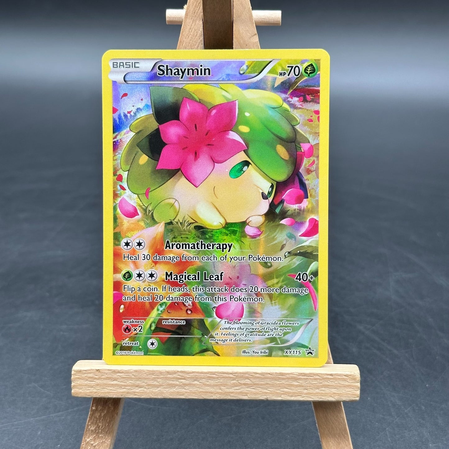 Shaymin - Pokémon TCG - BlackStarPromos - XY115 - Englisch