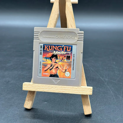 Kung Fu Master (Nintendo Game Boy)