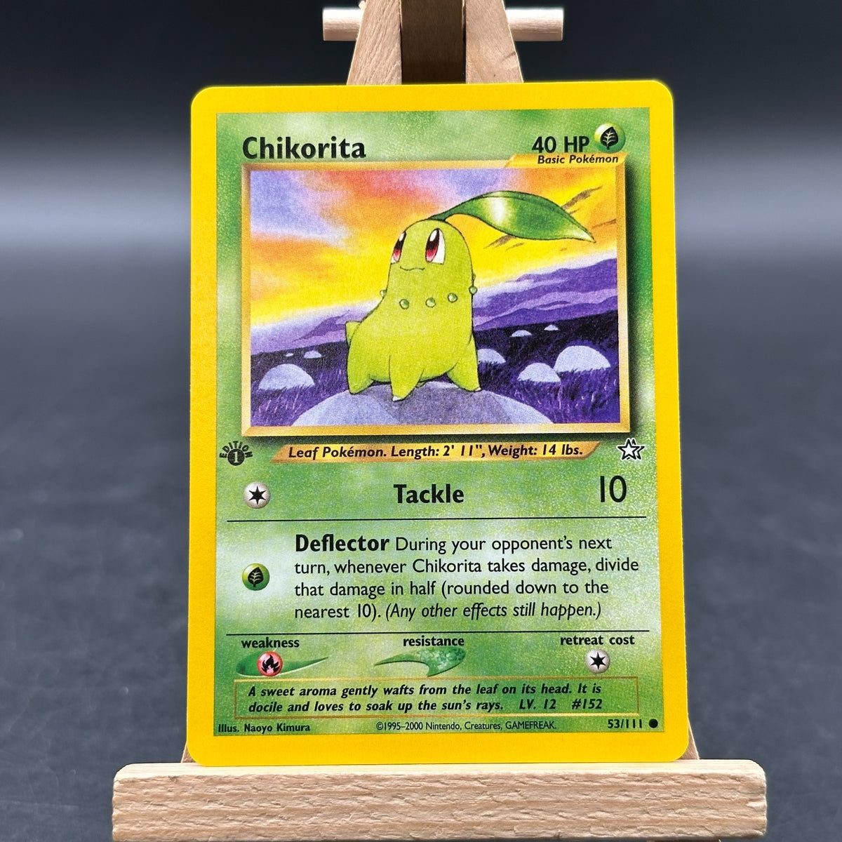 Chikorita - Neo Genesis - N1 53 (Pokémon TCG, Englisch)