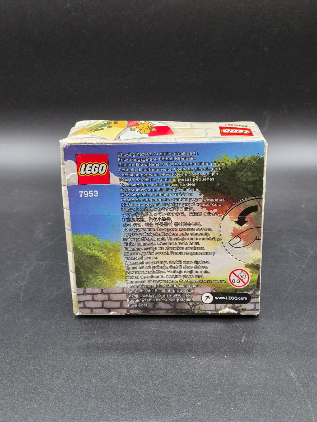LEGO® Castle 7953 Gaukler
