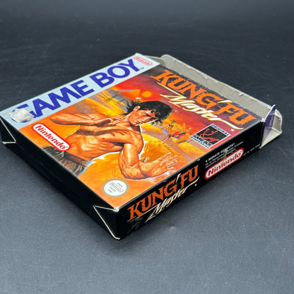 Kung Fu Master in OVP (Nintendo Game Boy)